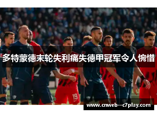 多特蒙德末轮失利痛失德甲冠军令人惋惜